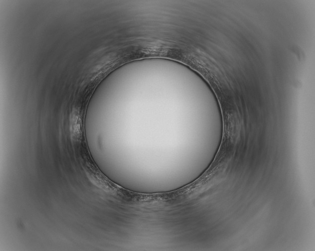 X0000112871154200908281619