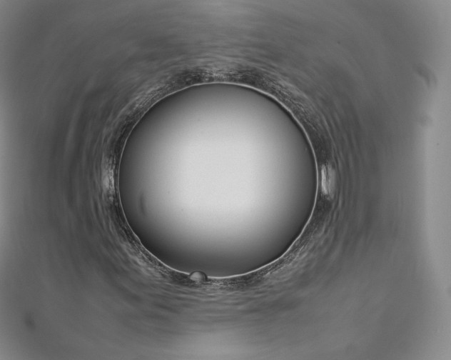 X0000112871155200908281619