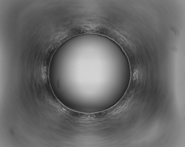 X0000112871156200908281619