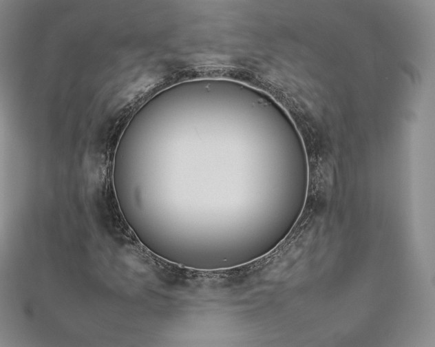 X0000112871157200908281619