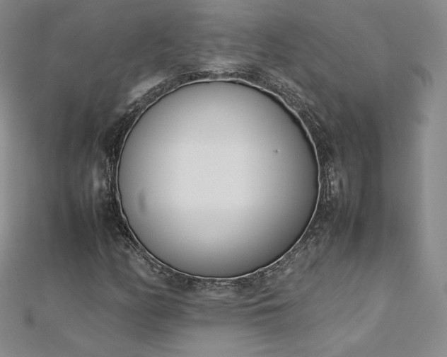 X0000112871158200908281619