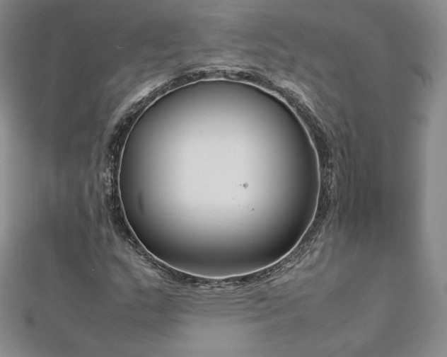 X0000112871159200908281619