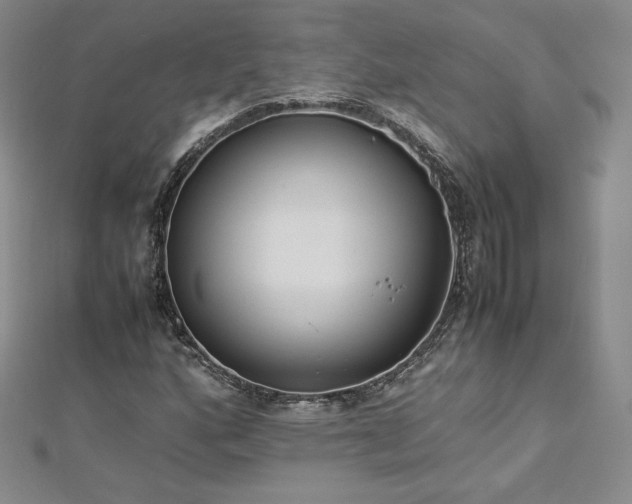 X0000112871160200908281619