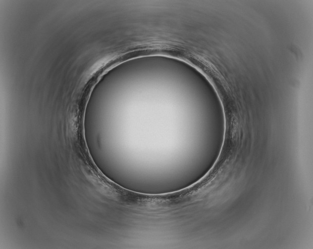 X0000112871163200908281618