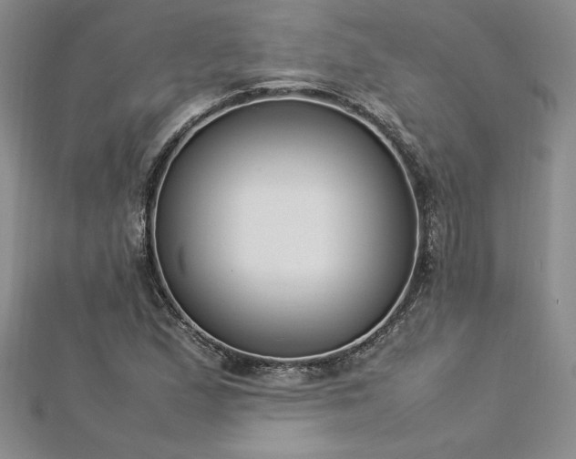 X0000112871167200908281618