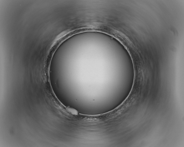 X0000112871168200908281618