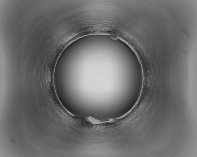 X0000112871169200908281618