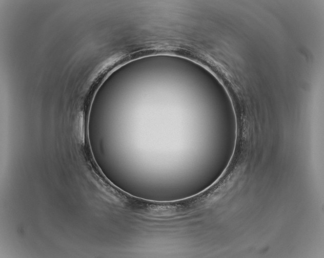 X0000112871171200908281618