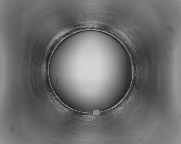 X0000112871172200908281618