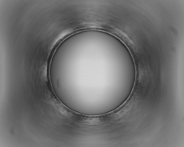 X0000112871174200908281618