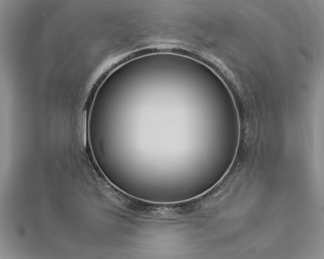 X0000112871175200908281618