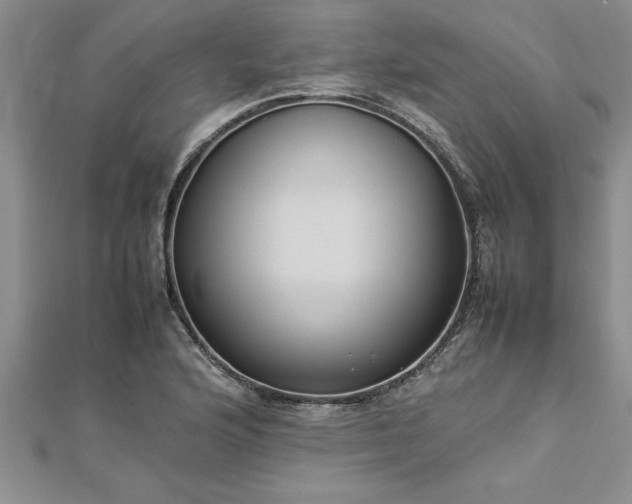 X0000112871176200908281618