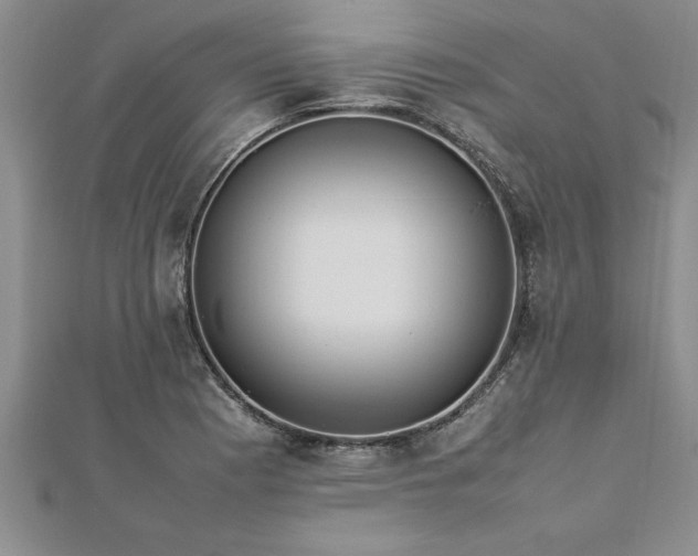 X0000112871177200908281618