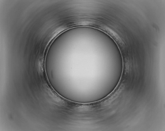 X0000112871178200908281618