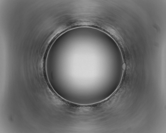 X0000112871181200908281618