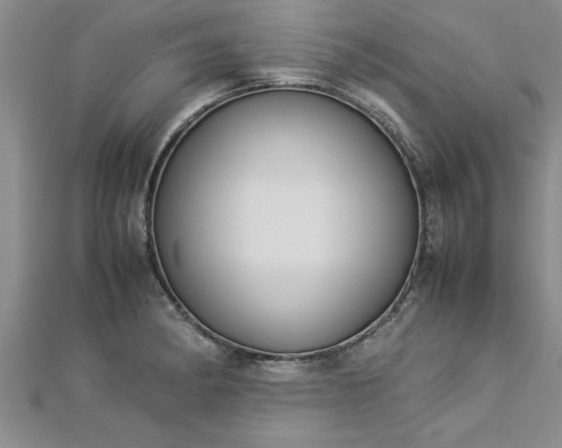 X0000112871182200908281618