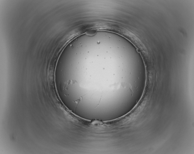 X0000112871185200908281618