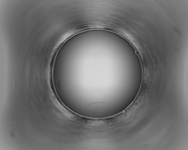 X0000112871187200908281618