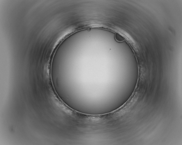 X0000112871190200908281618