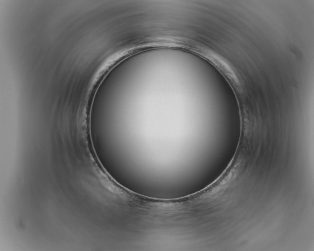 X0000112871192200908281618