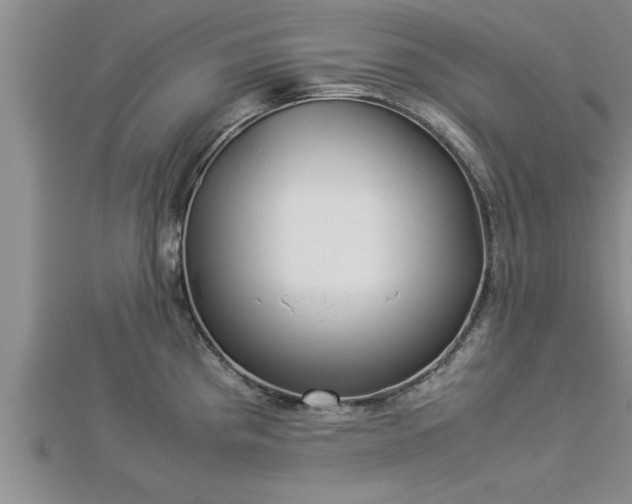 X0000112871193200908281618