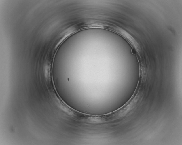 X0000112871194200908281618