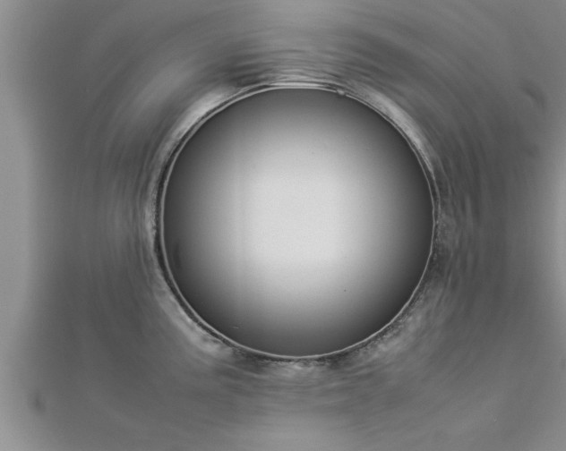 X0000112871195200908281618