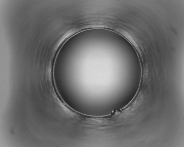 X0000112871197200908281618