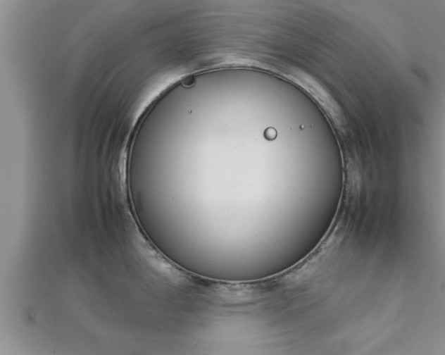 X0000112871198200908281618