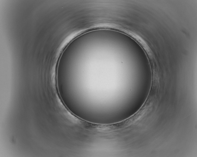 X0000112871199200908281618