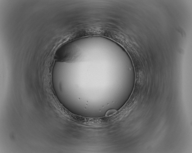 X0000112871201200908281617