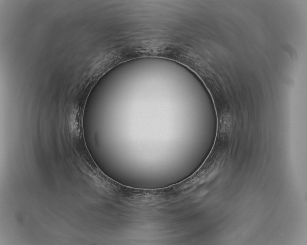 X0000112871202200908281617