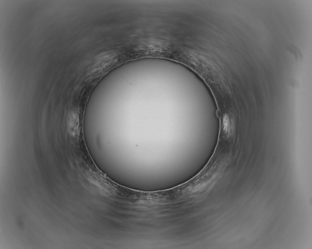 X0000112871203200908281617