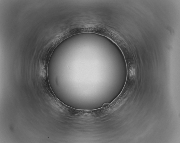 X0000112871204200908281617