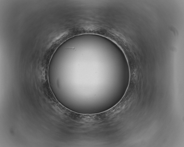 X0000112871205200908281617