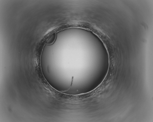 X0000112871206200908281617