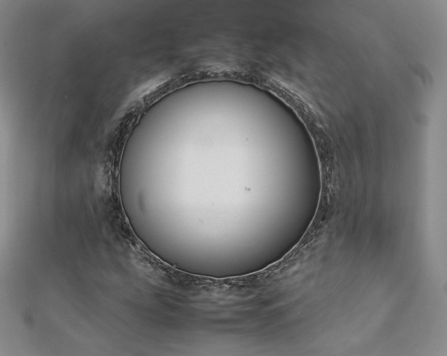 X0000112871207200908281617