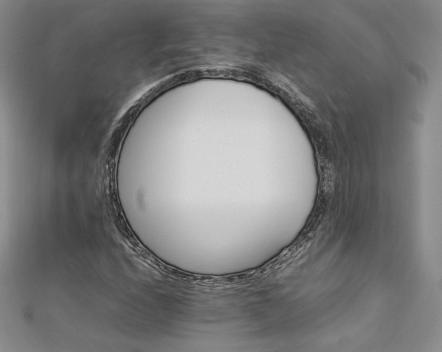 X0000112871208200908281617