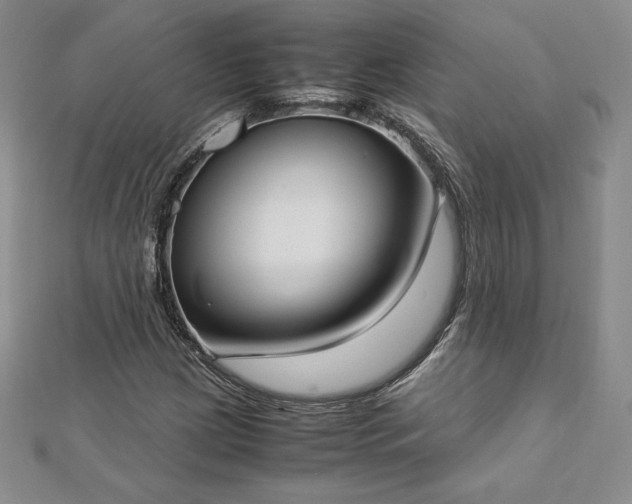 X0000112871209200908281617