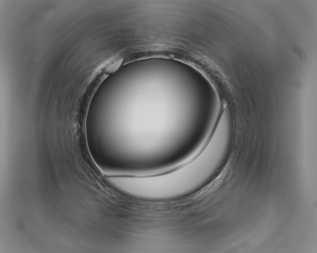 X0000112871210200908281617