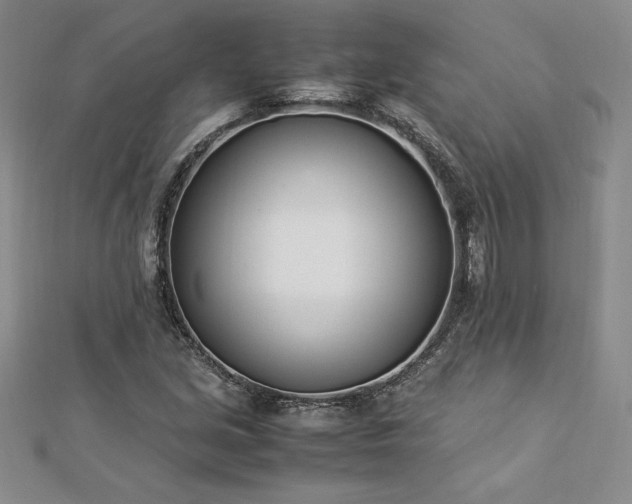 X0000112871213200908281618