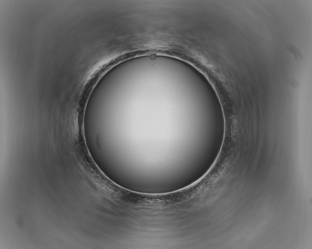 X0000112871214200908281618