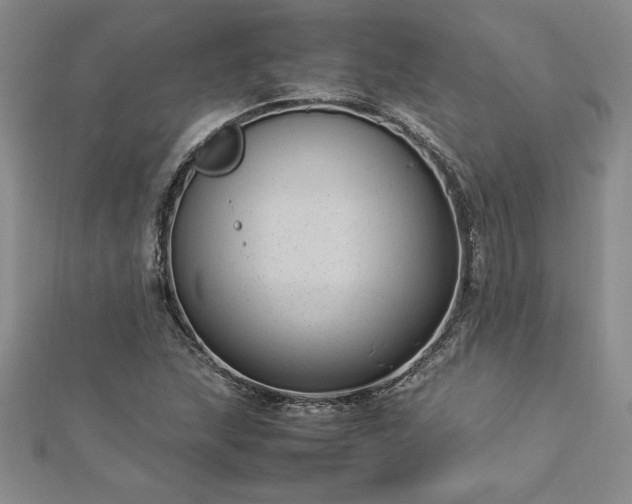 X0000112871215200908281618