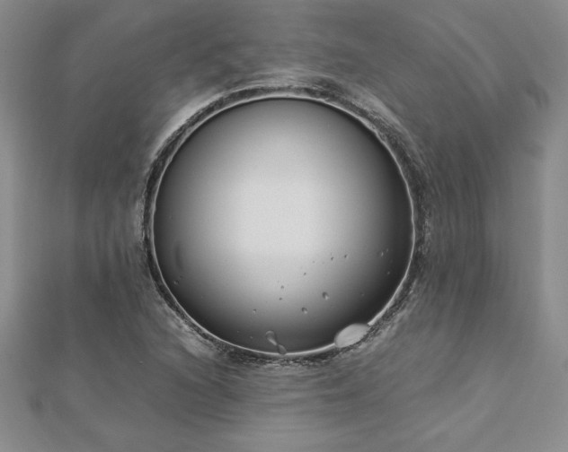 X0000112871216200908281618