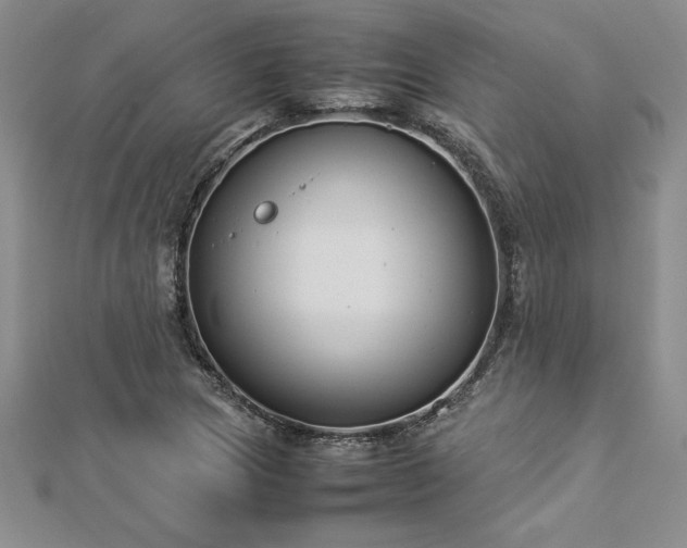 X0000112871217200908281618