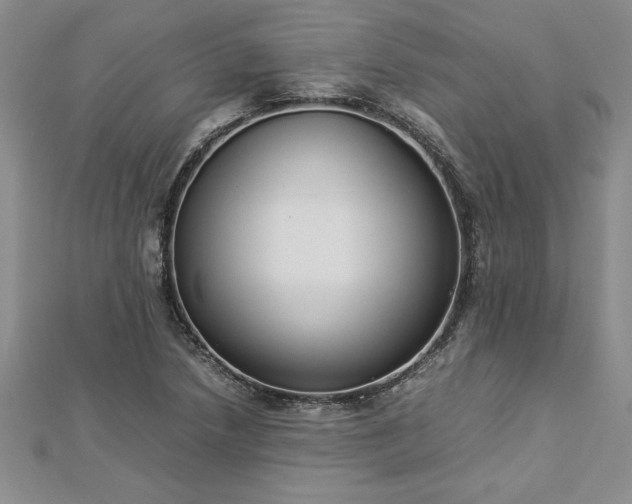 X0000112871218200908281618