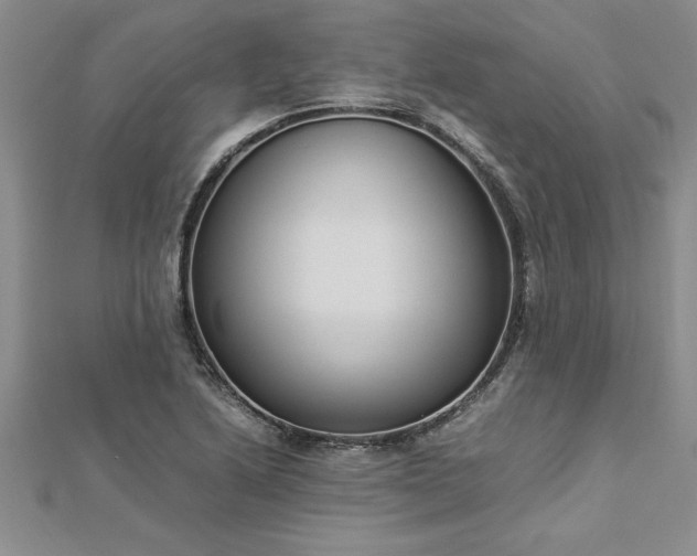 X0000112871222200908281618