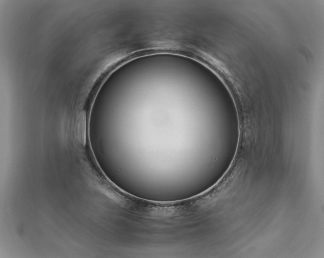 X0000112871223200908281618