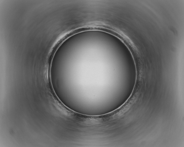 X0000112871224200908281618