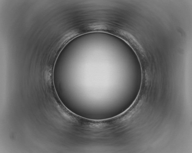 X0000112871225200908281618